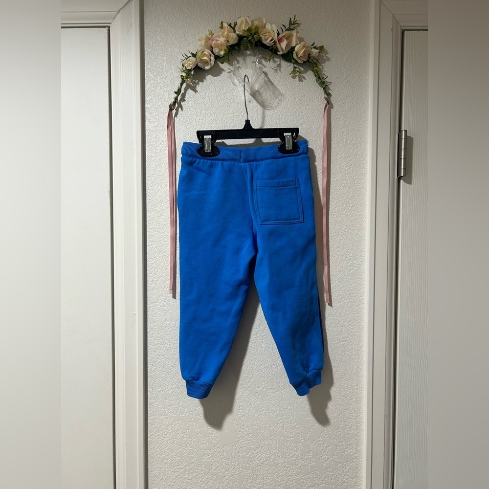 Gymboree Boys Colorblock Fleece Jogger Pants - Dino Friends - Picture 7 of 7